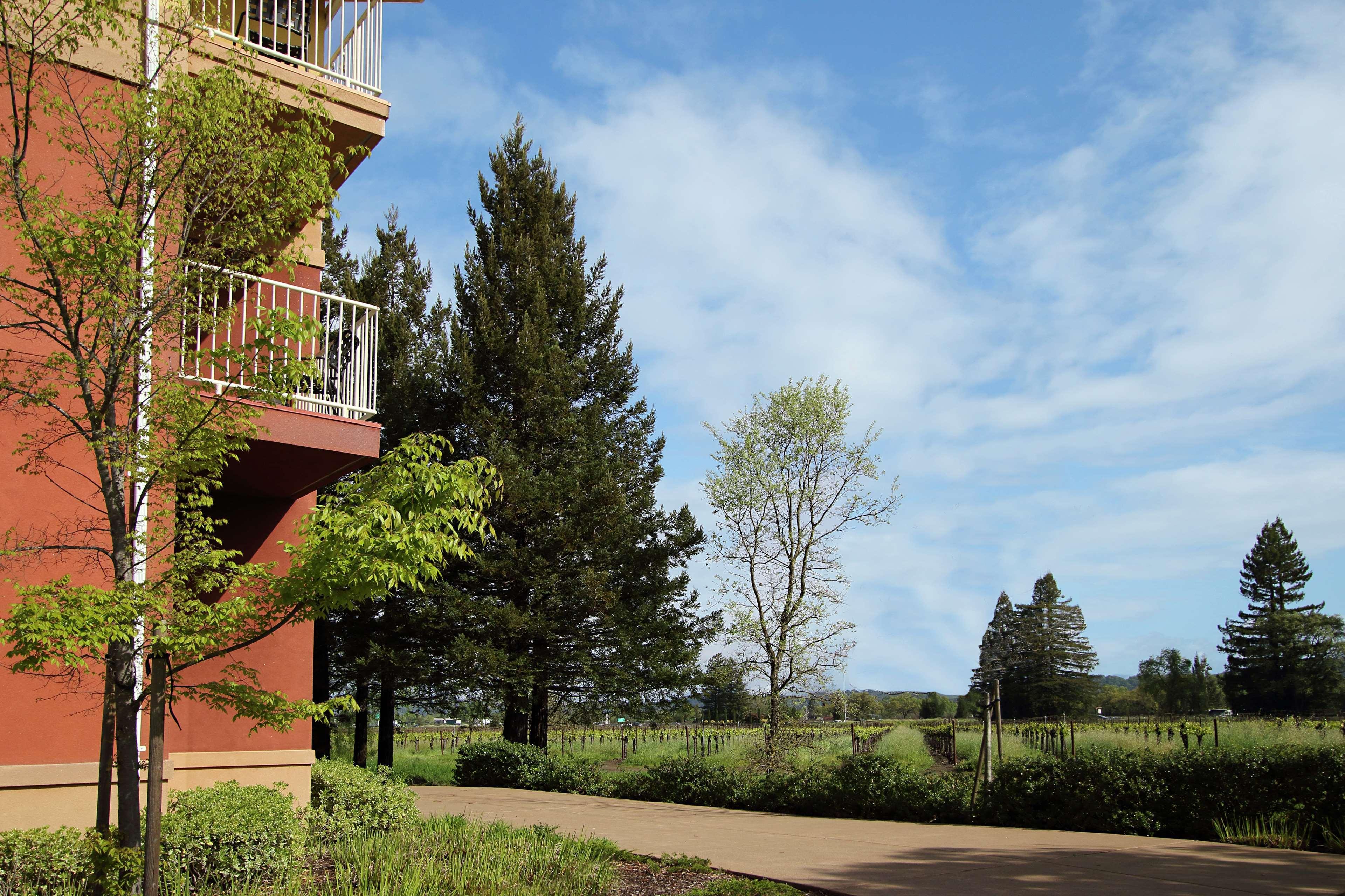Hilton Garden Inn Sonoma County Airport Санта-Роза Экстерьер фото
