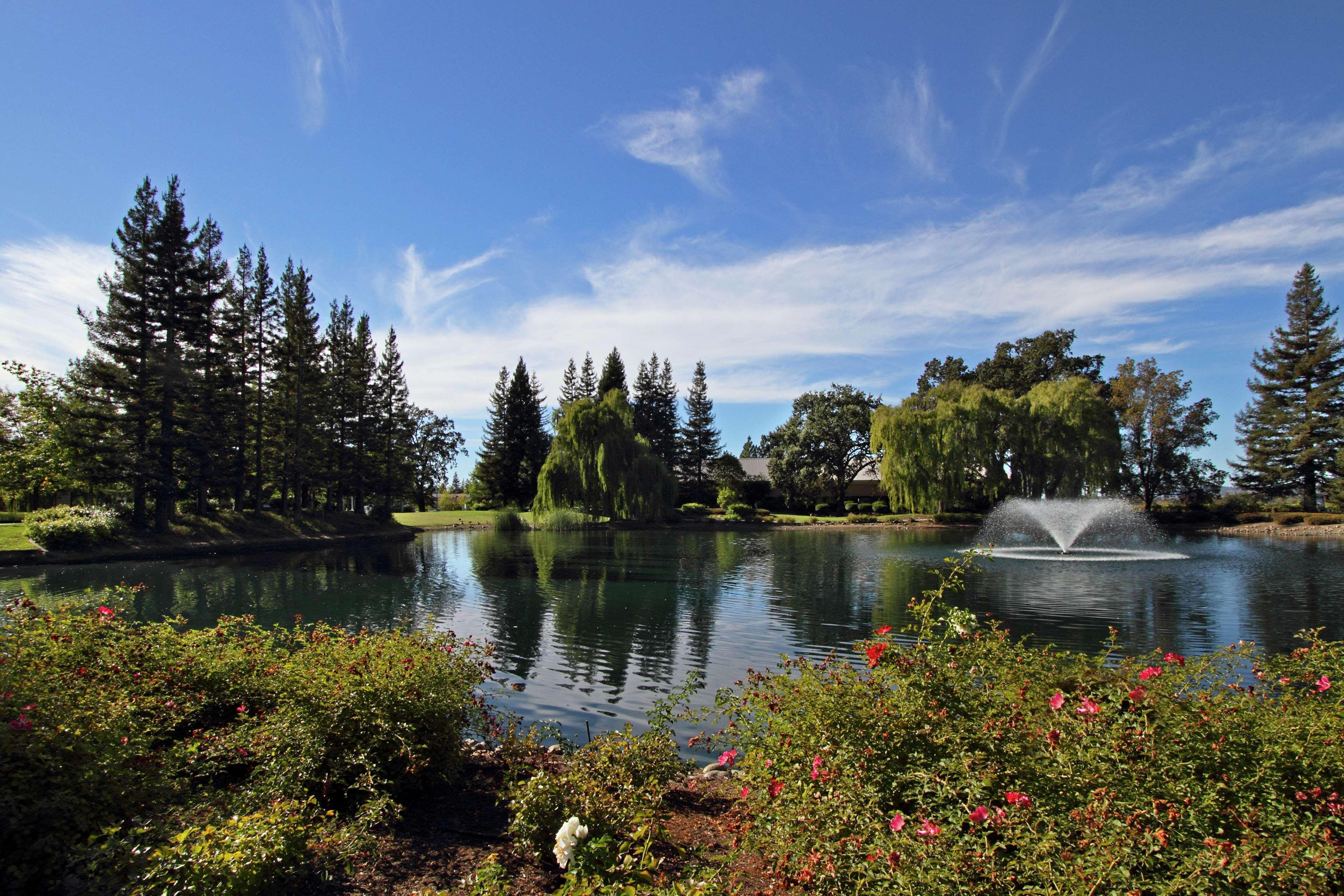 Hilton Garden Inn Sonoma County Airport Санта-Роза Экстерьер фото