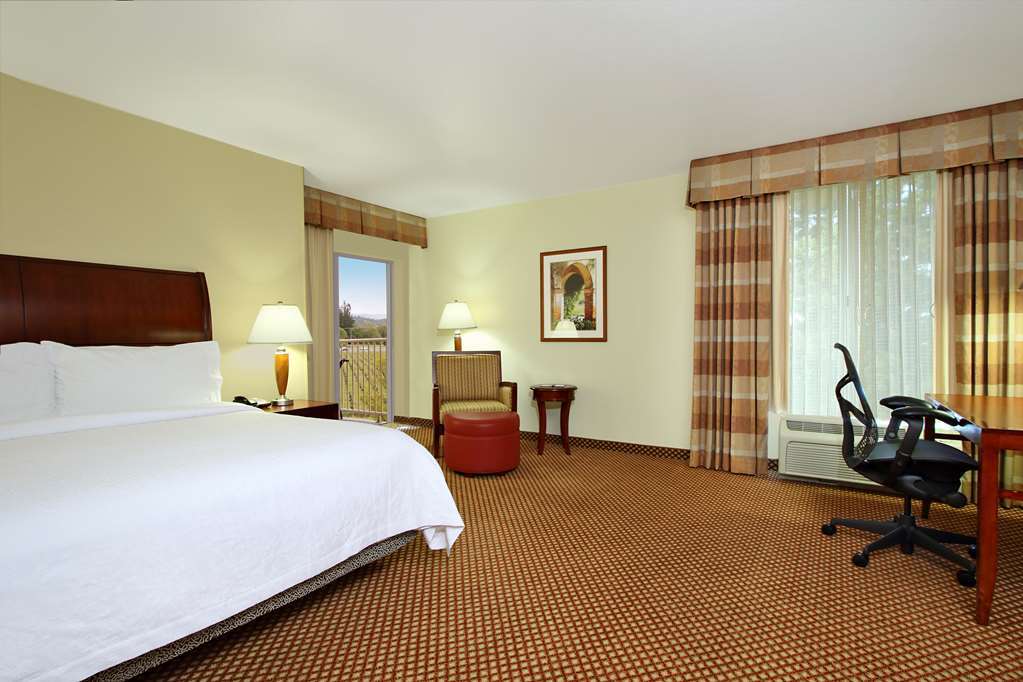 Hilton Garden Inn Sonoma County Airport Санта-Роза Номер фото